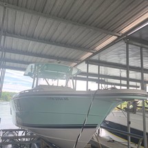 Stamas tarpon 290