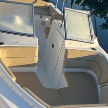 Sea Ray hunt ultra 211