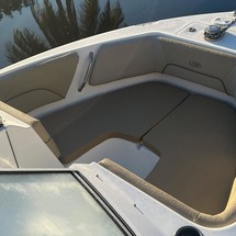 Sea Ray hunt ultra 211