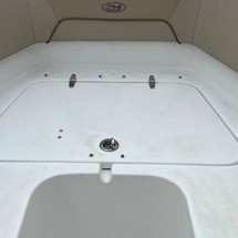 Sea Ray hunt ultra 211
