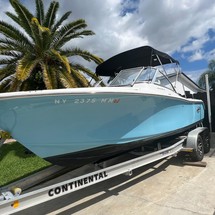 Sea Ray hunt ultra 211