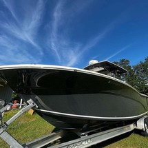 Sea Fox 288 Commander
