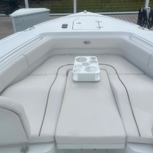 Sea Ray hunt ultra 211
