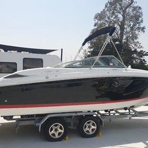 Cobalt 242