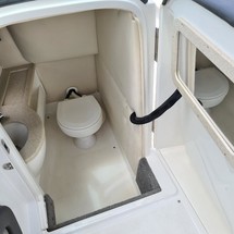Cobalt 242