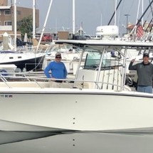 Mako 284 CC