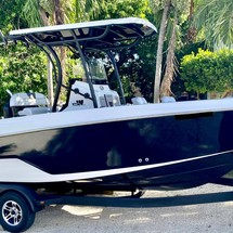 Wellcraft 222 Fisherman