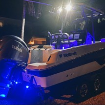 Wellcraft 222 Fisherman