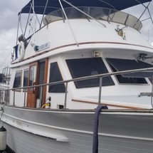 Albin Marine 36 trawler