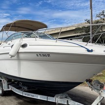 Sea Ray 260 Sundancer