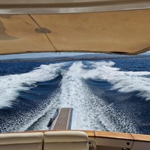 Portofino marine 47 fly