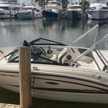 Sea ray 19 spx