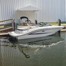 Sea ray 19 spx