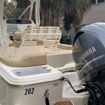 Pioneer 222 sport fish