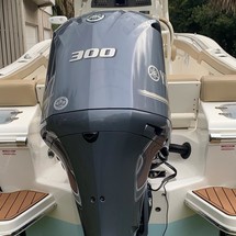 Pioneer 222 sport fish