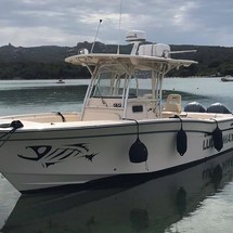 Grady-White Canyon 306