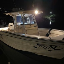 Grady-White Canyon 306