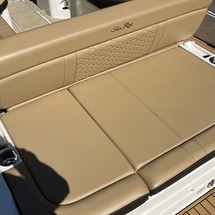 Sea Ray 250 SDX