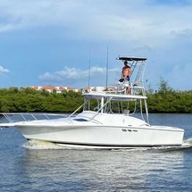 Luhrs 290 open