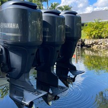 Hydra-sports 2800 vector wa