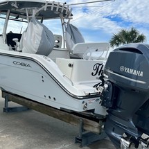 Cobia 217 center console