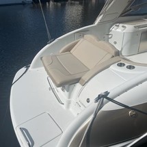 Formula 310 BR