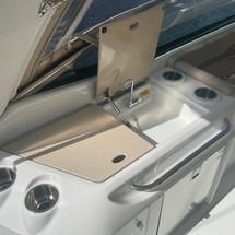 Formula 310 BR