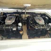 Formula 310 BR