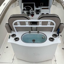 Angler Pro Boats 2900 center console