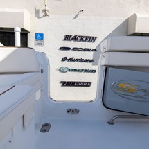 Sea Ray hunt ultra 211