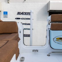 Sea Ray hunt ultra 211
