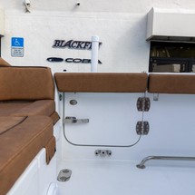 Sea Ray hunt ultra 211