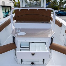 Sea Ray hunt ultra 211