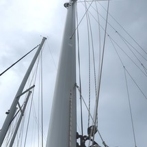 Leopard 40