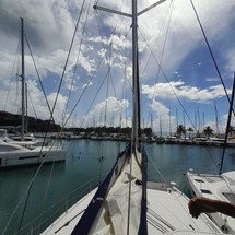 Leopard 40