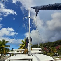 Leopard 40