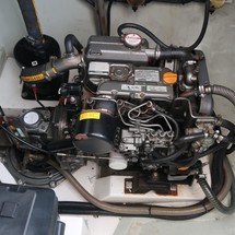 Leopard 40