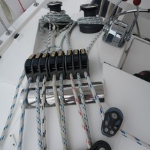 Leopard 40