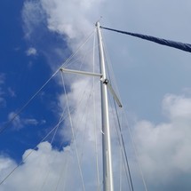 Leopard 40