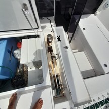 Leopard 40