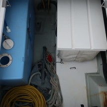 Leopard 40
