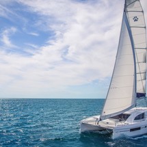 Leopard 40