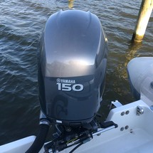 Nautica rib 11 deluxe