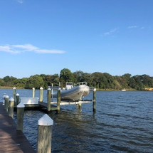Nautica rib 11 deluxe