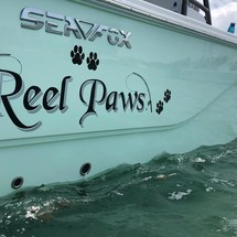 248 Sea Fox Commander