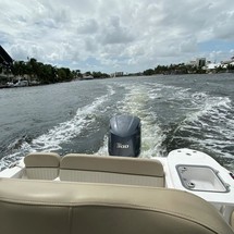 248 Sea Fox Commander