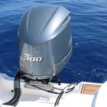 248 Sea Fox Commander