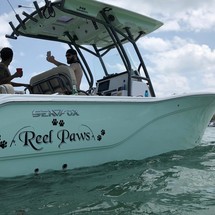 248 Sea Fox Commander