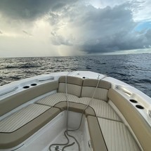 248 Sea Fox Commander