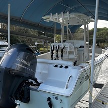 Sea Ray hunt ultra 211